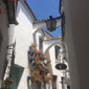 andreacolon854